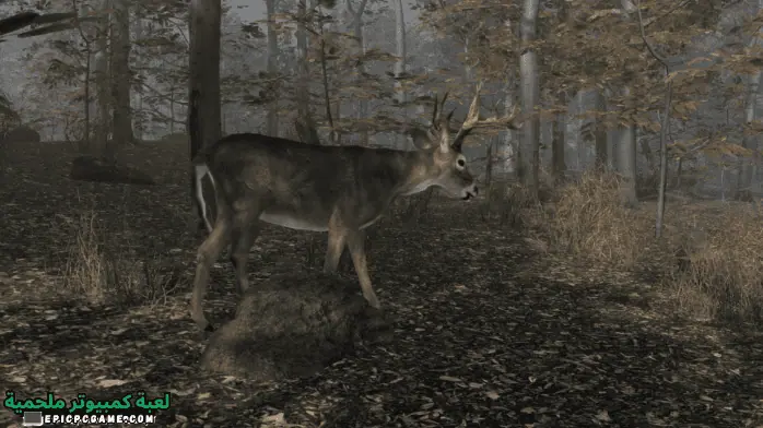 تحميل لعبة Deer Hunter