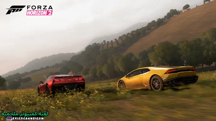 Download Forza Horizon 2 Pc
